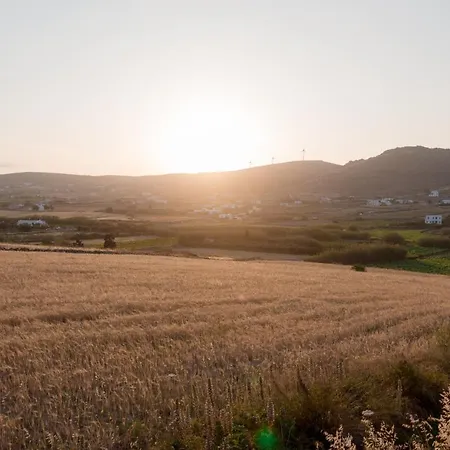 Calm House Naousa (Paros)